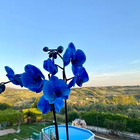 Bed & Breakfast Fontanelle *