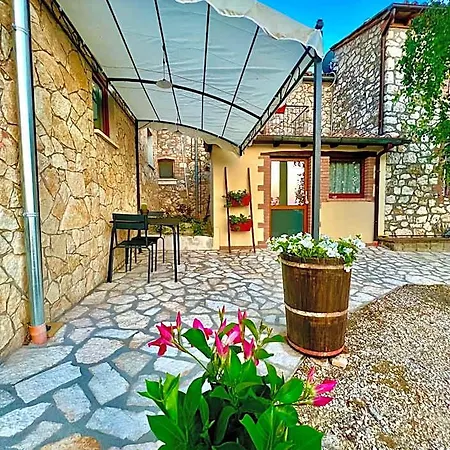Fontanelle