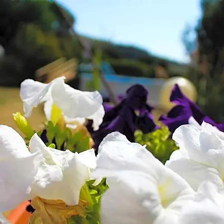Bed & Breakfast Fontanelle 3*
