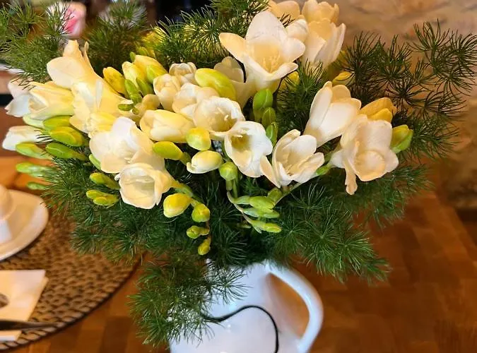 Fontanelle Bed & Breakfast